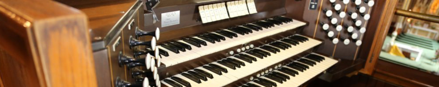 organ